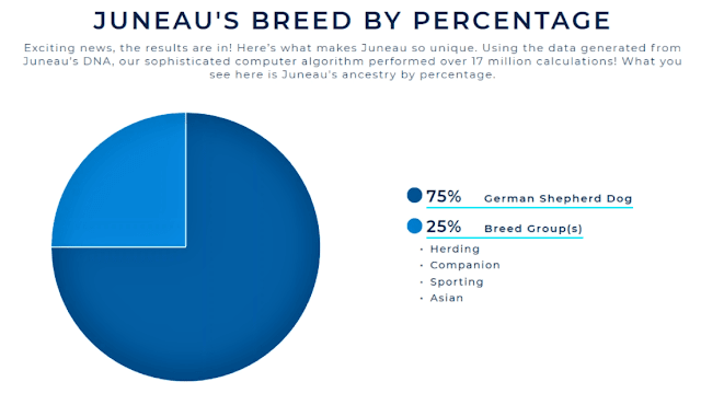 Wisdom Panel identifies that the dog is 75% German Shepherd and 25% is other breeds, sharing genetic similarities.