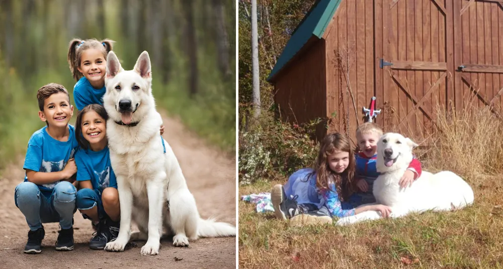 White German Shepherds are extremely friendly with kids and family memebers.