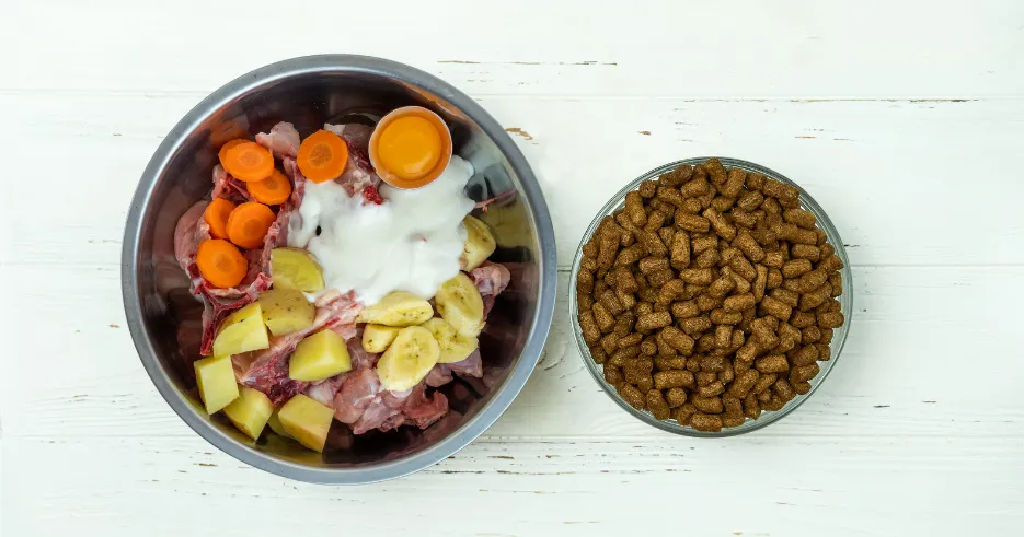 At around 3 to 6 months, a German Shepherd puppy's diet should still be primarily composed of puppy kibble, but you can start incorporating small amounts of home-cooked foods.