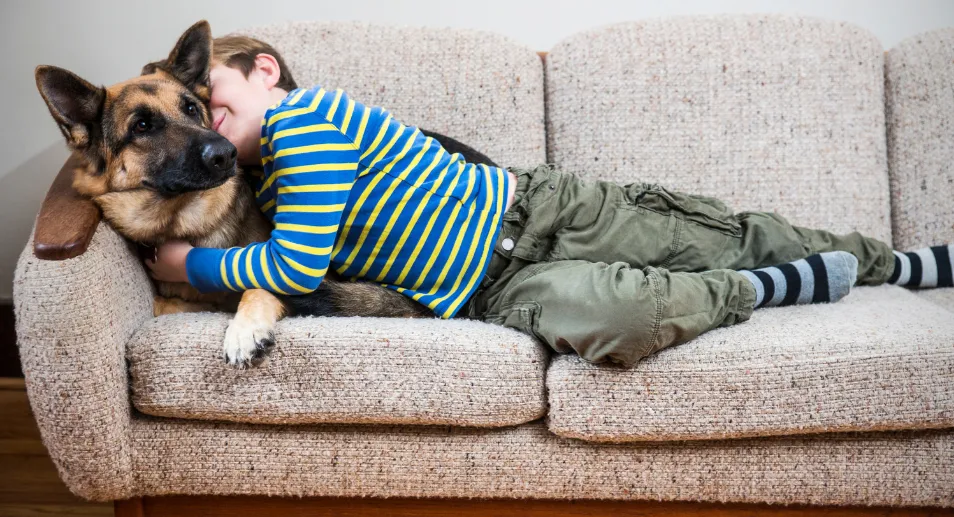 A kid and Showline German Shepherd sitting on a sofa.